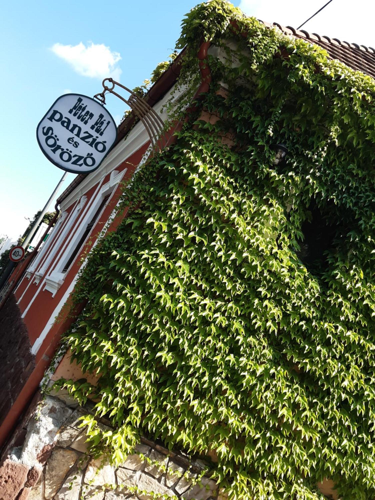Bed and Breakfast Peter Pal Panzio Veszprém Exterior foto